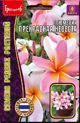 Плюмерия Прекрасная невеста Семена редких растений