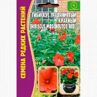 Гибискус Травянистый(болотный) Красный Семена редких растений