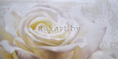 Картина deco-box Декарт 50*100 Роза бокс белый M DEM SEL 2JT1882