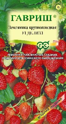 Земляника (Клубника) Делизз Гавриш