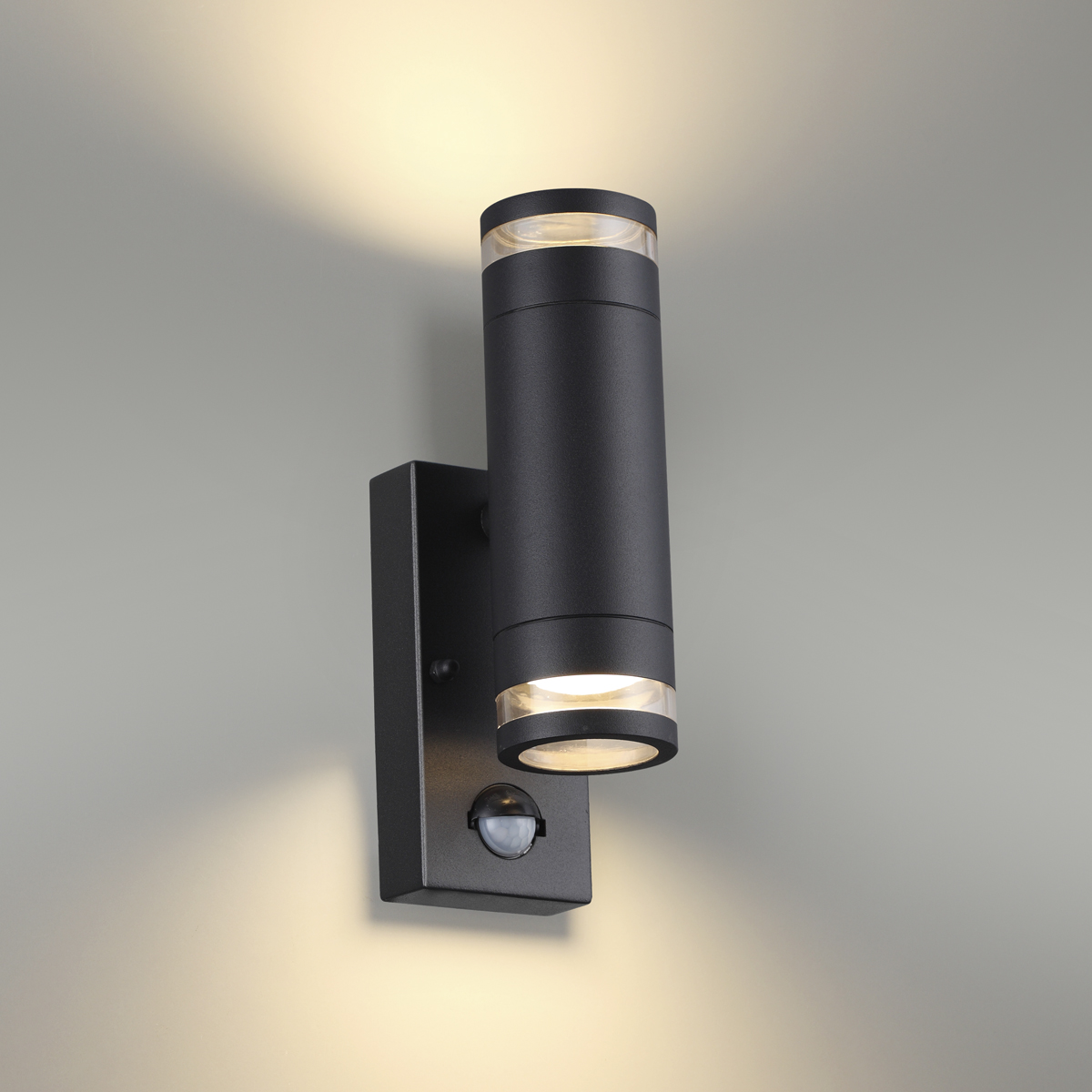 Светильник уличный настенный Odeon Light 6605/2W черный (датчик движения, датчик освещенности)