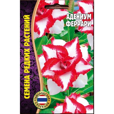 Адениум Феррари Семена редких растений