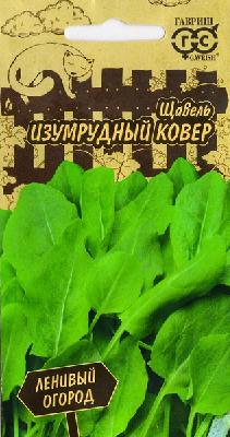 Щавель Изумрудный ковер Гавриш