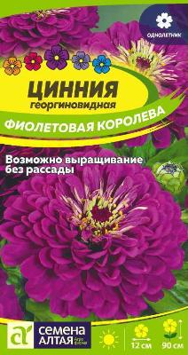 Цинния георгиноцветковая Фиолетовая Королева Семена Алтая