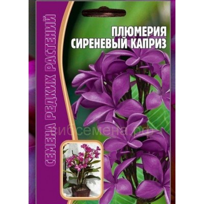 Плюмерия Сиреневый каприз Семена редких растений