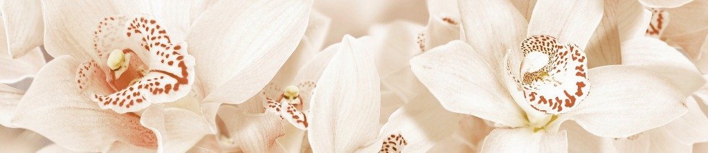 Бордюр керамический GLOBAL TILE Aroma 75*450 бежевый (30 шт/уп)
