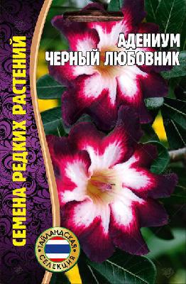 Адениум Черный любовник Семена редких растений
