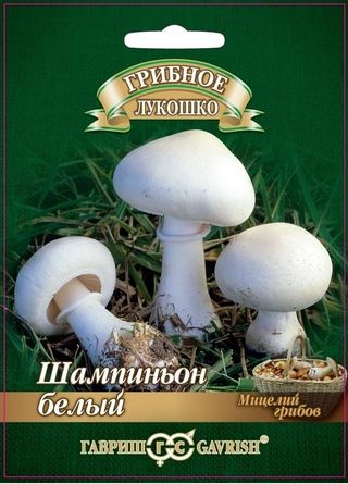 Грибы Белый гриб на субстрате, 15 мл (Гавр)