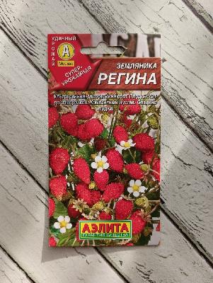 Земляника Регина Аэлита