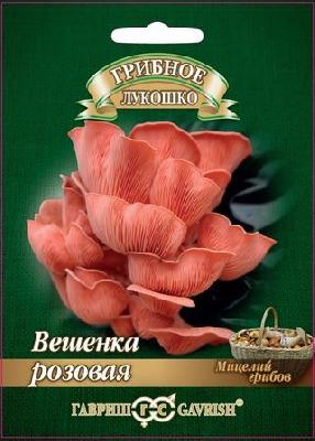 Грибы Вешенка розовая (Гавр)
